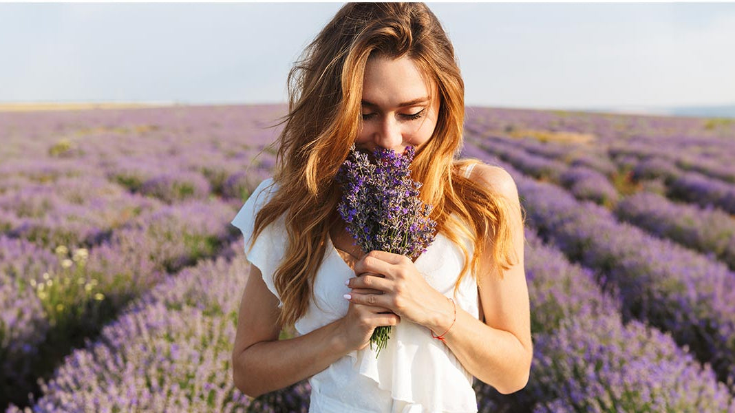 Fresh scented home with lavender - Elliotti