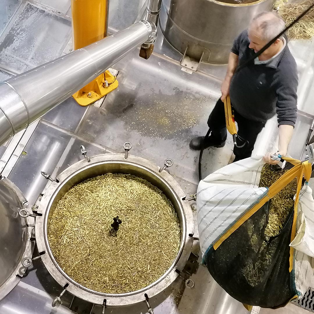 Essenciagua Blackcurrant Organic Essential Oil from Burgundy, 2ml - Elliotti