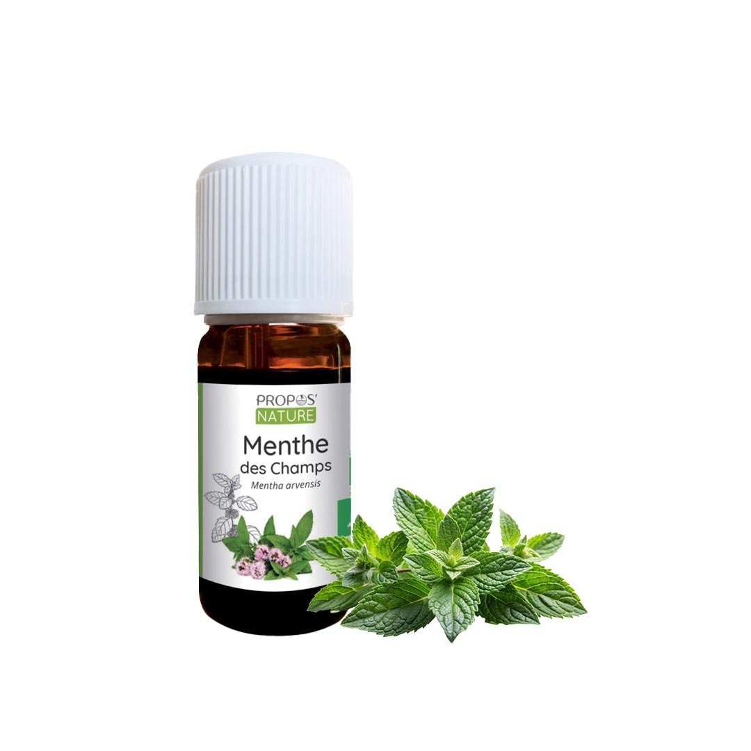 Propos'Nature Field Mint Organic Essential Oil, 10ml - Elliotti