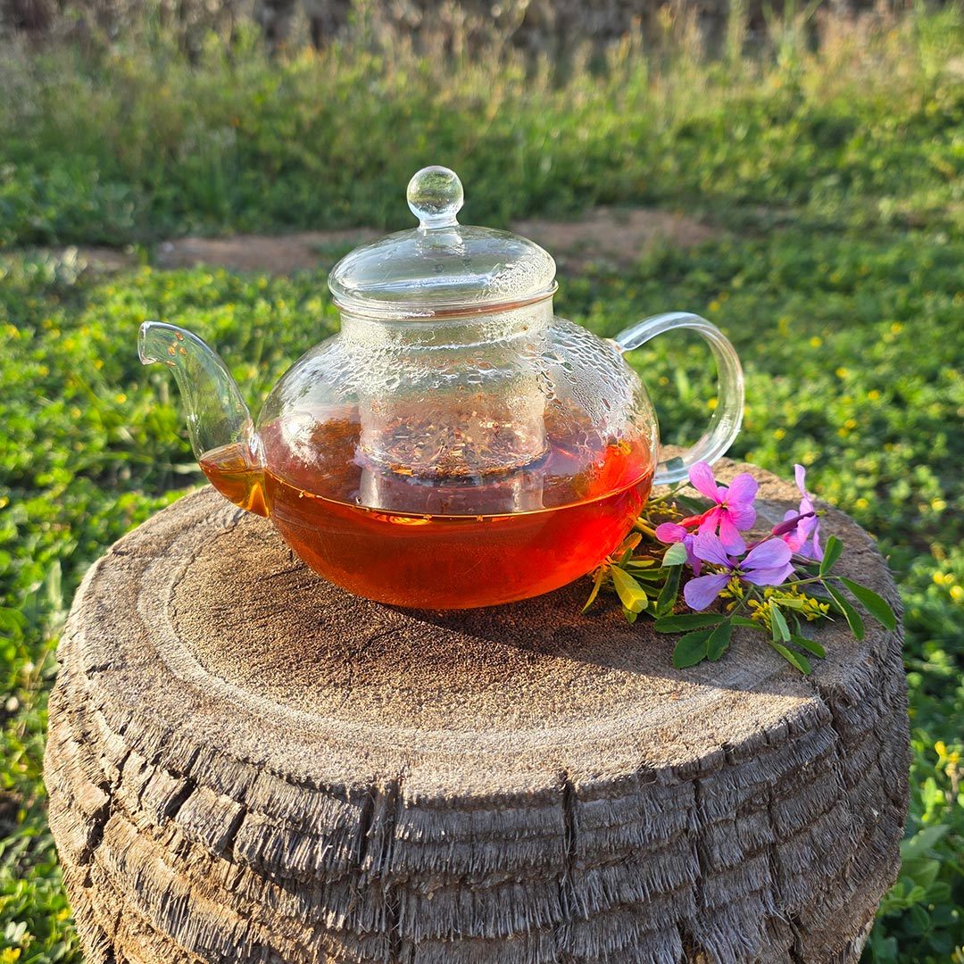 AW Artisan Glass teapot with infuser, 800ml - Elliotti