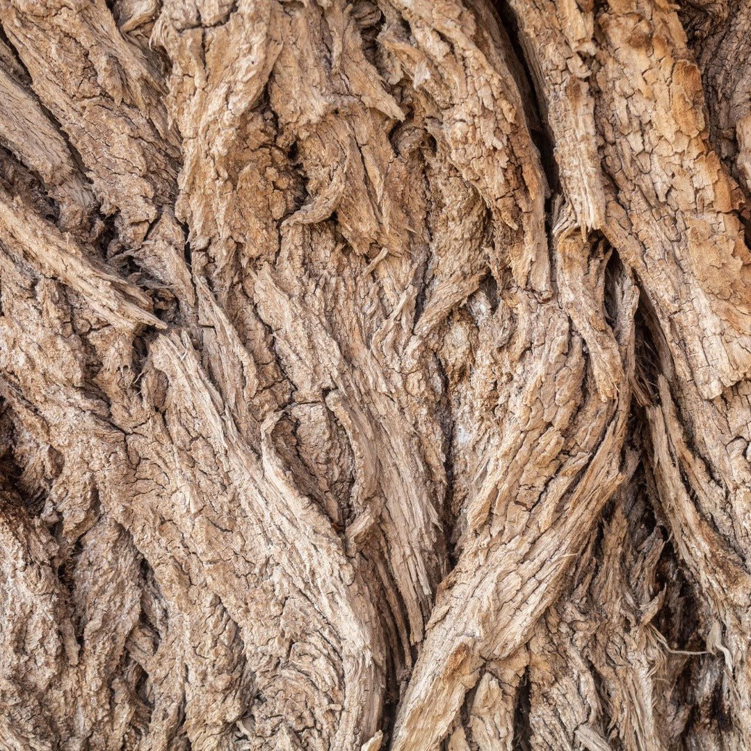 Bioptimal Organic Willow Bark, 200 capsules - Elliotti