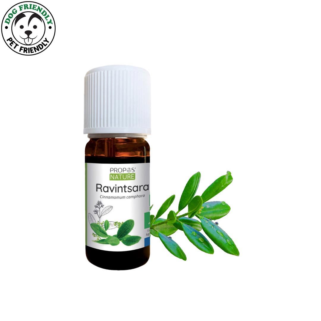 Propos'Nature Ravintsara Organic Essential Oil, 10ml - Elliotti