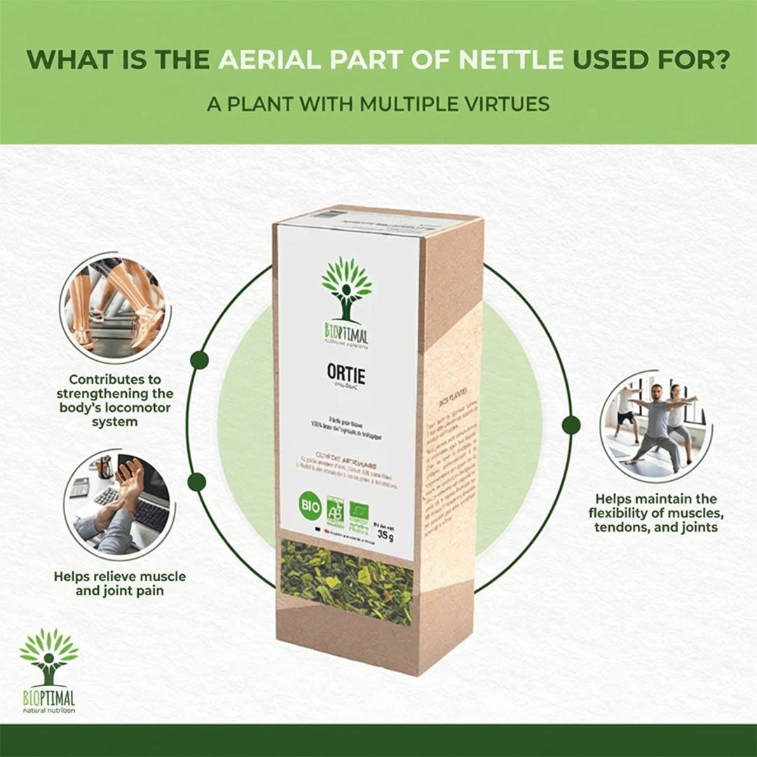 Bioptimal Stinging Nettle Organic Infusion, 35g - Elliotti