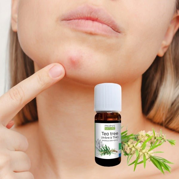 Propos'Nature Tea Tree Organic Essential Oil, 10ml - Elliotti