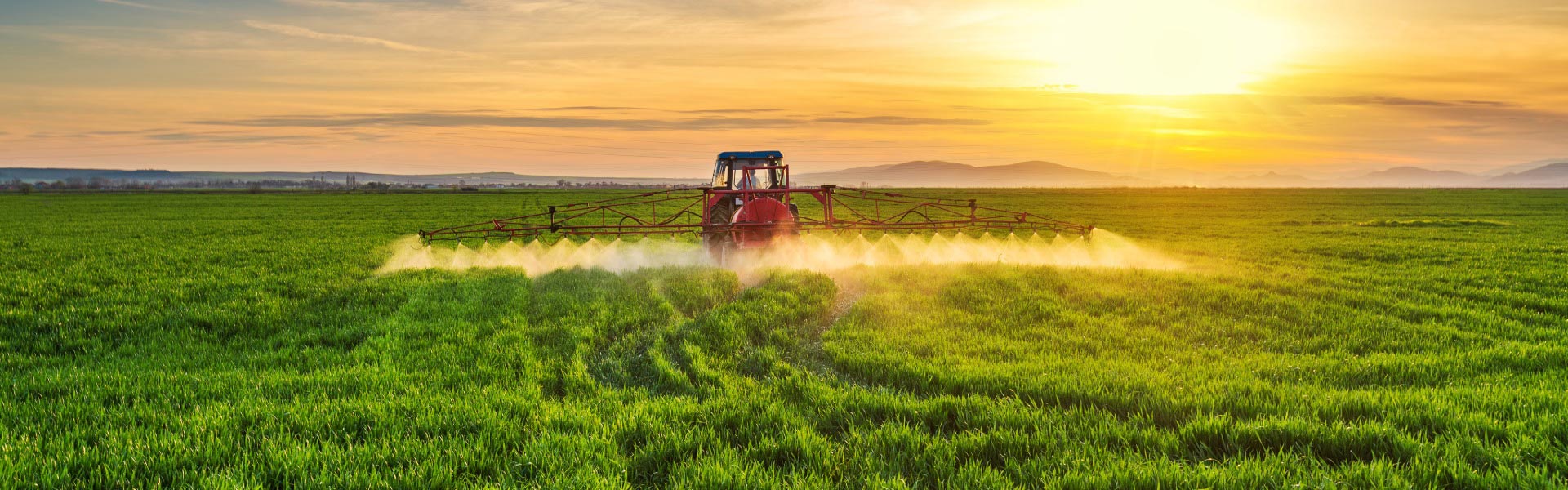 Organic or Certified Organic? Why the Difference Matters - Elliotti