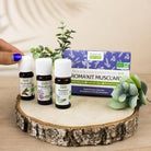 Propos'Nature Aroma'kit Muscl'art - 3 Organic Essential Oils - Elliotti