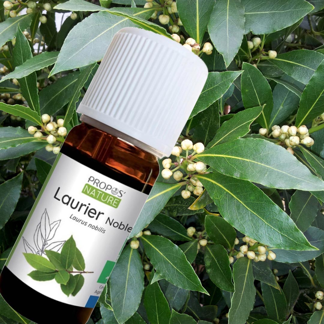 Propos'Nature Bay Laurel Organic Essential Oil, 10ml - Elliotti