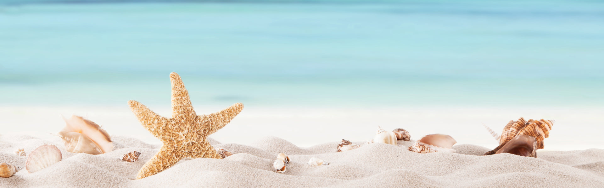 Sun Safe, Earth Safe: Organic Plant-Based Sun Care Products - Elliotti