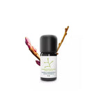Essenciagua Blackcurrant Organic Essential Oil from Burgundy, 2ml - Elliotti