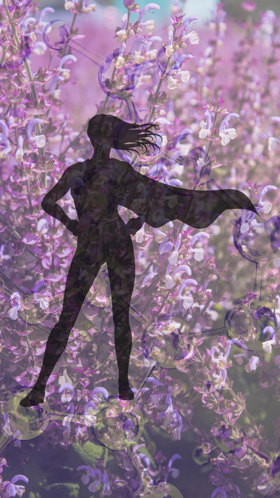 A field with clary sage flowers with a shadow of a Super Hero Woman 