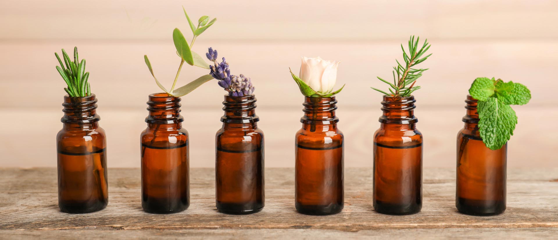 Amber essential oil bottles in a row with fresh plant or flower of the oil it is made of