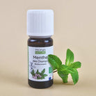 Propos'Nature Field Mint Organic Essential Oil, 10ml - Elliotti