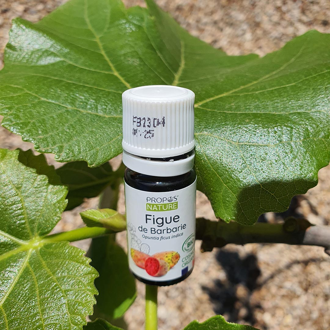 Prickly Pear Organic Vegetable Oil, 5ml - Elliotti