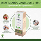 Bioptimal Lady's Mantle Organic Infusion - Elliotti