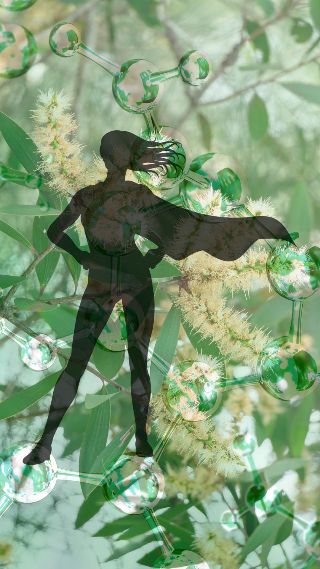 The chemical compounds of Niaouli, what makes it a Super Hero