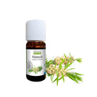 Propos'Nature Niaouli Organic Essential Oil, 10ml - Elliotti