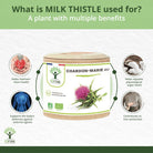 Bioptimal Organic Milk Thistle, 200 capsules - Elliotti