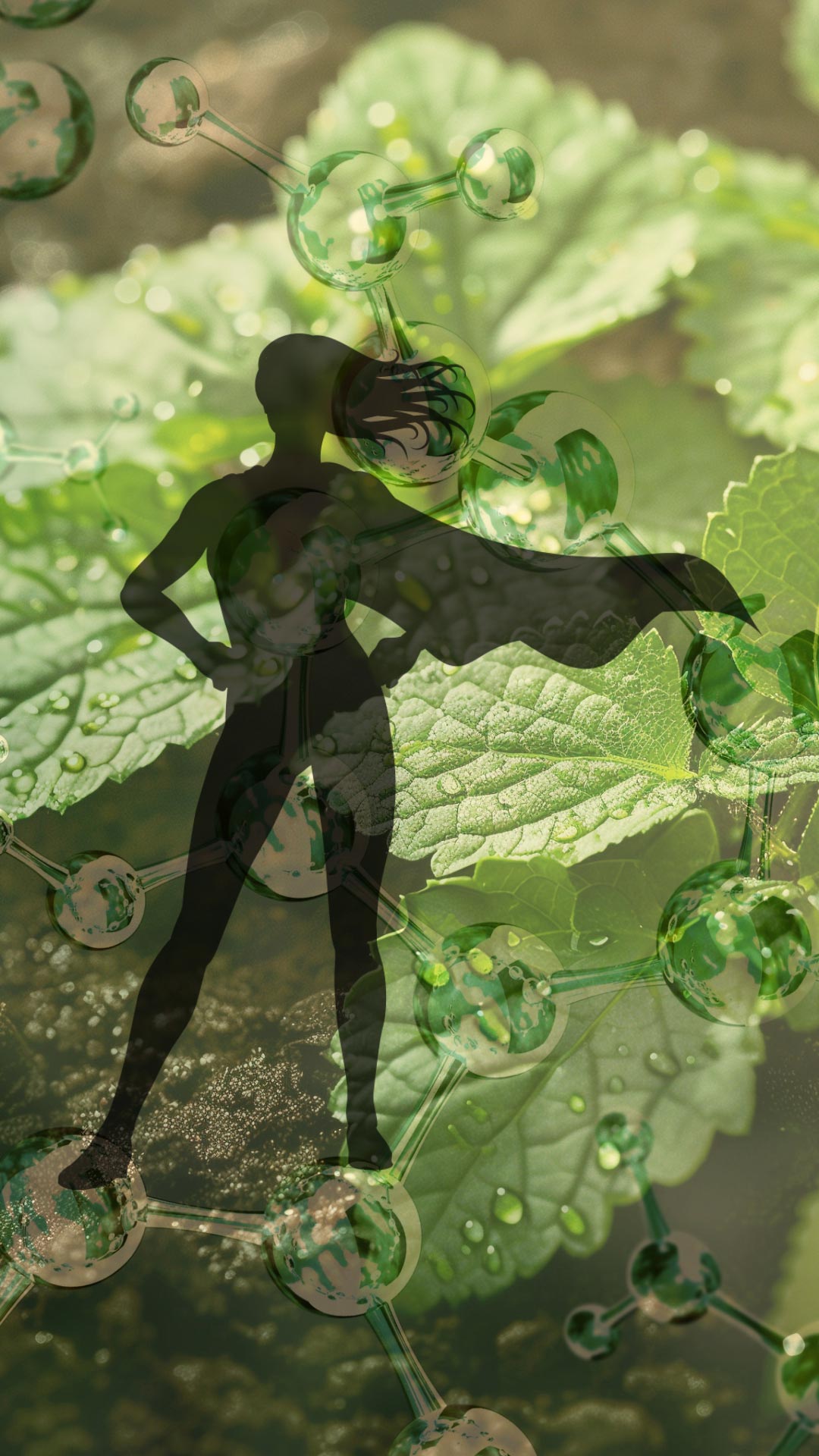 The Main Chemical Composition of Patchouli Essential Oil - Elliotti