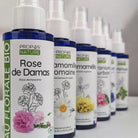 Organic helichrysum hydrosol, immortelle floral water, anti-redness hydrosol, helichrysum toner for rosacea, corsican helichrysum hydrosol.