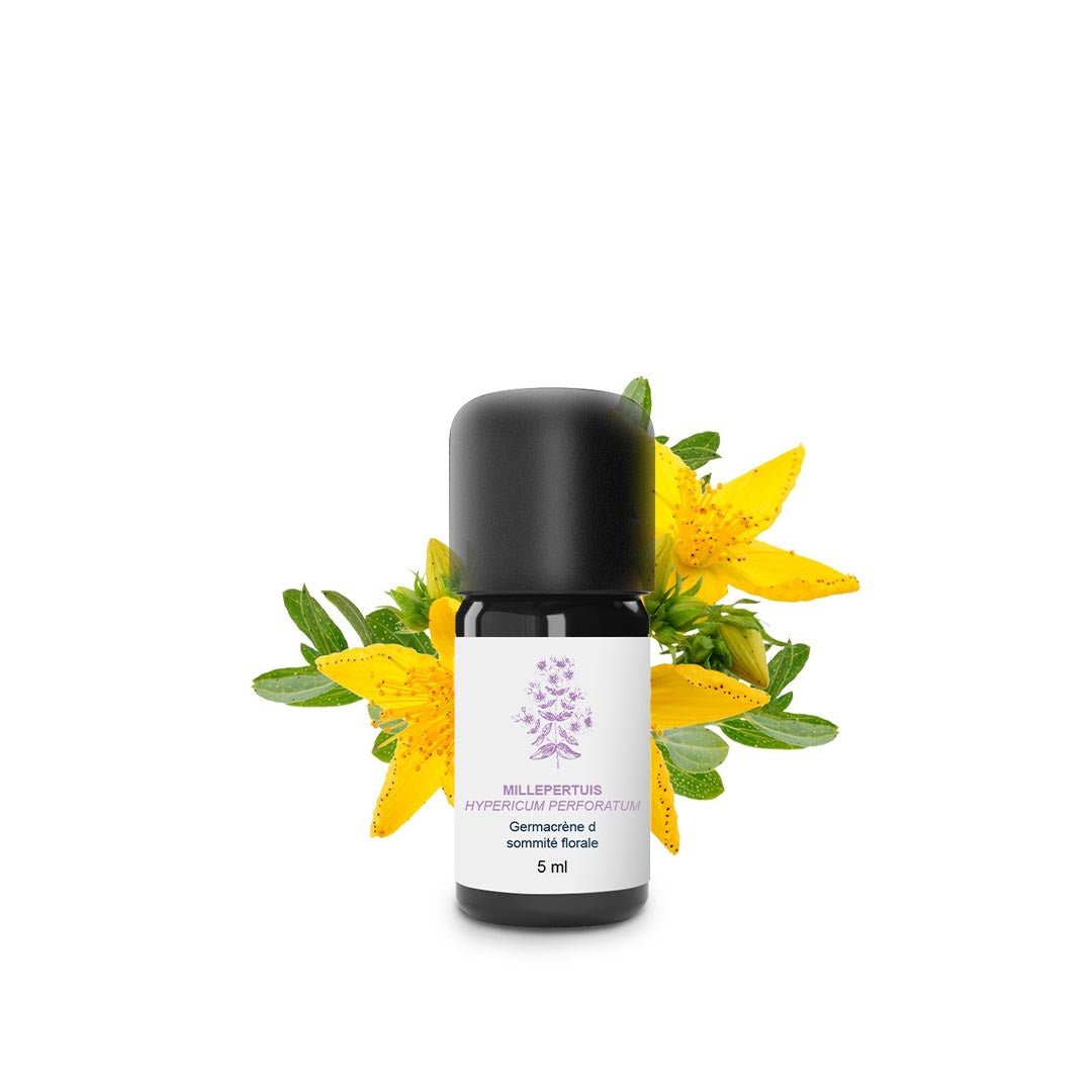 Essenciagua St. John's Wort Organic Essential Oil, 5ml - Elliotti