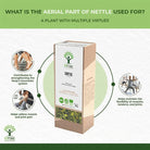 Bioptimal Stinging Nettle Organic Infusion, 35g - Elliotti