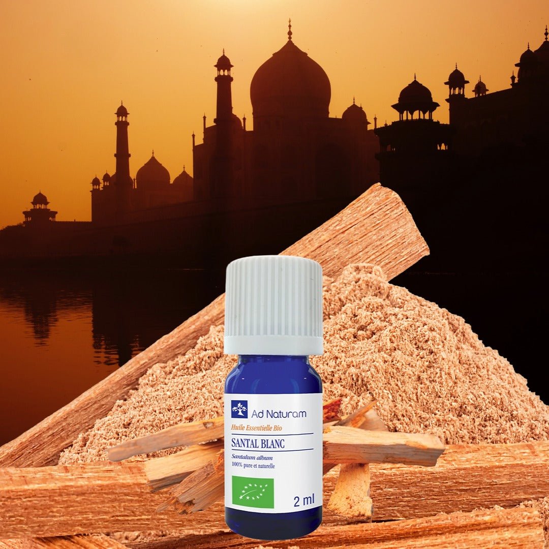 Elliotti The Grounded Desire Ritual For intimacy & Sensual Presence - Elliotti