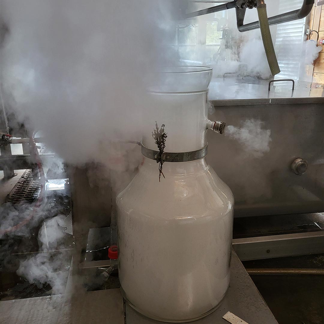 Essenciagua Thyme Thymol Organic Hydrosol, 250ml - Elliotti