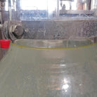 Essenciagua Yarrow Organic Essential Oil - Elliotti