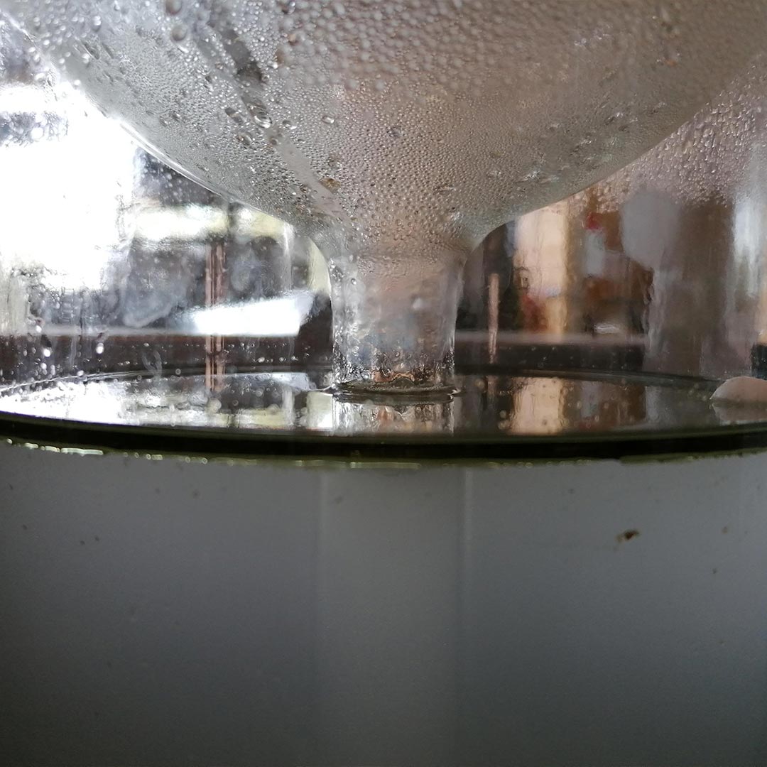 Essenciagua Yarrow Organic Hydrosol, 250ml - Elliotti